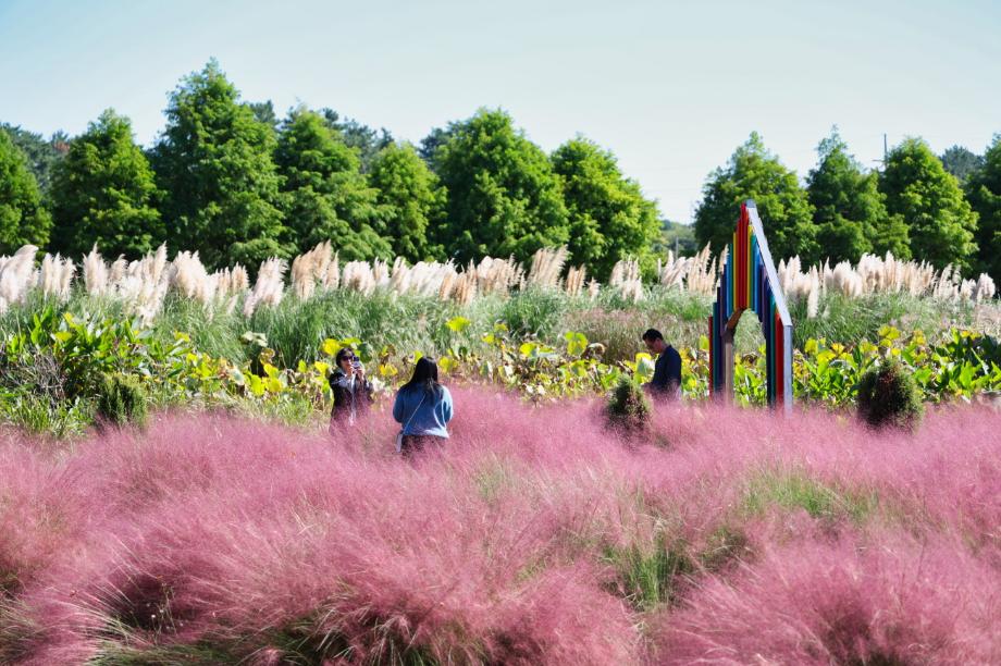태안군, 청산수목원 육성 위해 한국관광공사와 ‘맞손’
