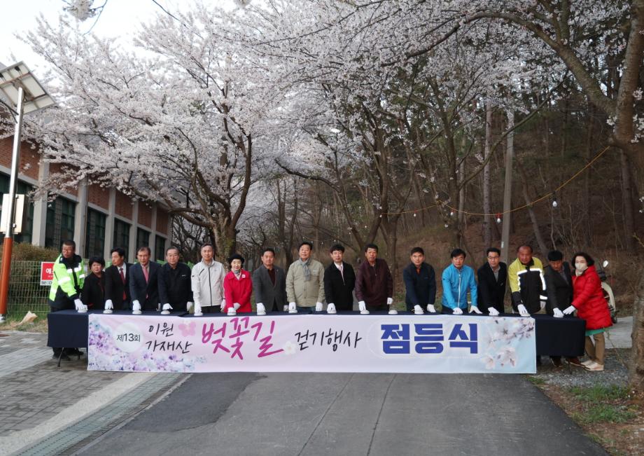 태안 가재산, 관광객 호응 속 아름다운 ‘벚꽃 엔딩’