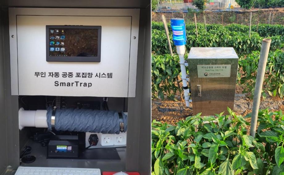 태안군, 이동성 돌발해충 피해 ‘무인화 기술’로 막는다!