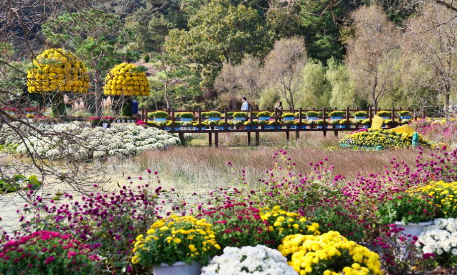 ‘꽃과 바다 태안 국화축제’ 10일 간의 여정 성황리 마무리
