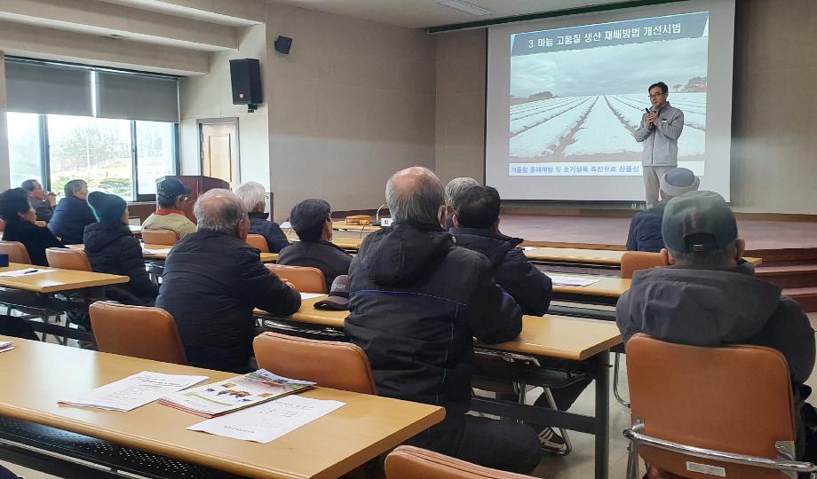 태안군, 올 한해 마늘분야 시범사업 성과 ‘A+’