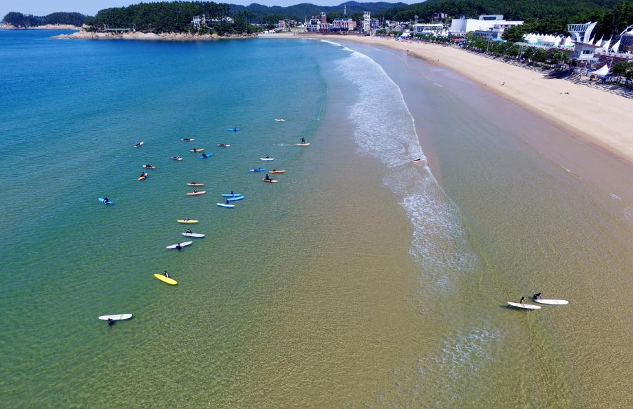 “年 방문객 2천만 명 넘본다” 태안군, 지난해 1775만 명 방문 성과