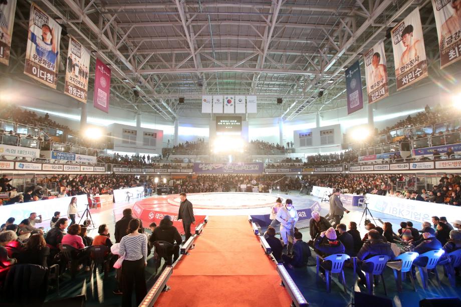 태안군, ‘설 연휴 들썩!’ 설날장사 씨름대회 개최 등 지역 곳곳 ‘활기’