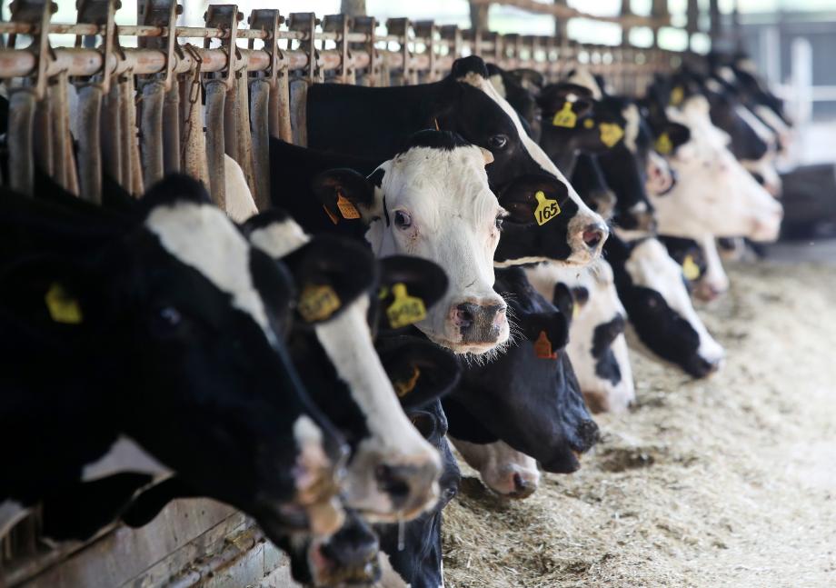 태안군, ‘가축분뇨 퇴비살포 연결체’ 구축 성과!