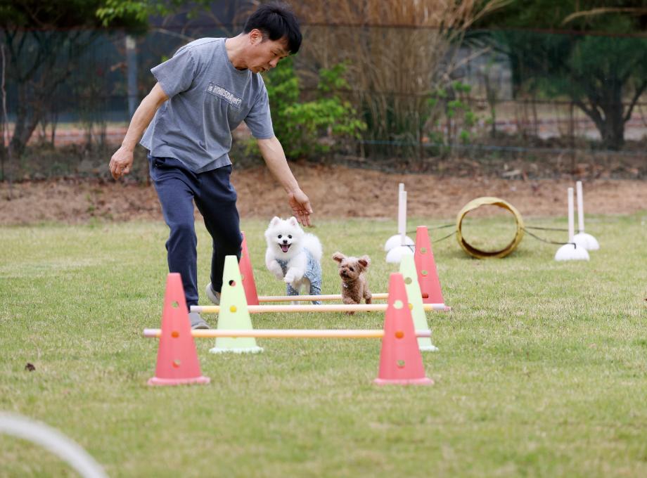 “숙박 할인쿠폰 드려요!” 태안군의 ‘반려동물 숙박대전’ 관심