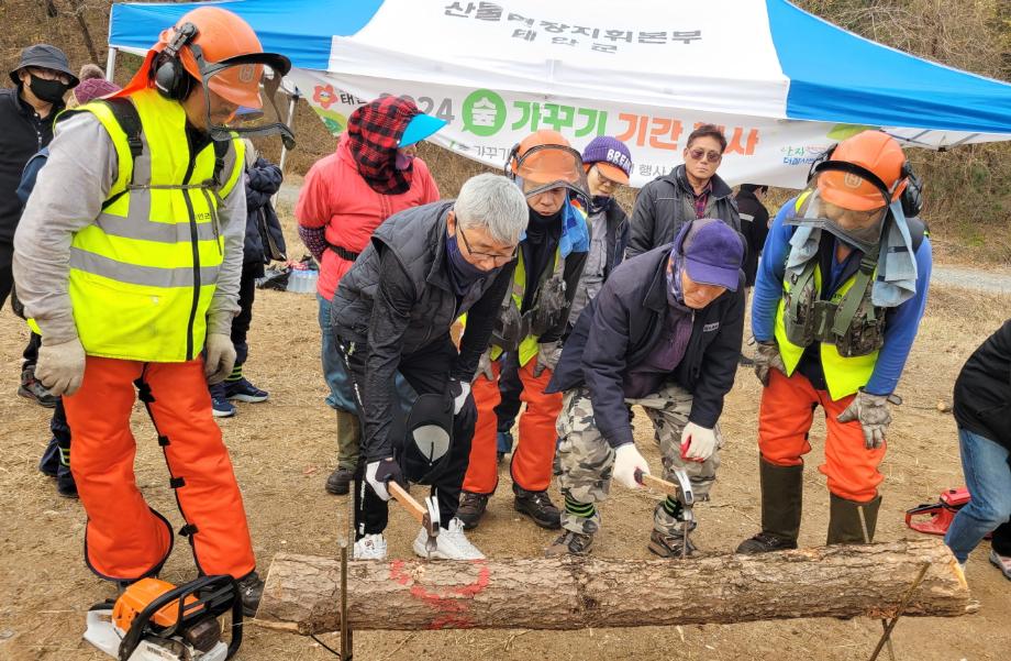 태안군, 산림 소중함 일깨우는 ‘숲가꾸기 기간 행사’ 성료