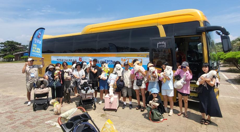 “반려동물과 꽃구경 가요!” 태안군, 봄철 ‘댕댕버스’ 상품 운영