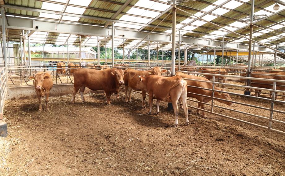 태안군, 축산분야 FTA 피해보전 직불금 5월 말까지 지급!