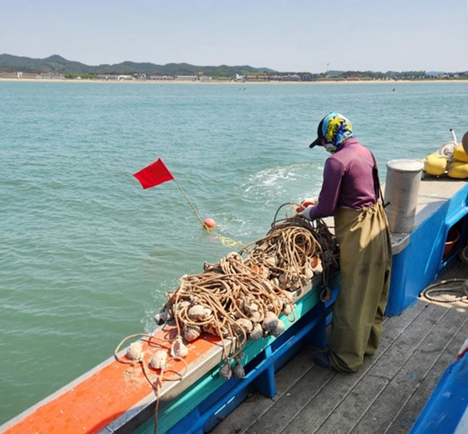 태안군, “주꾸미 자원량 늘린다!” 올해 산란시설물 23만 개 설치