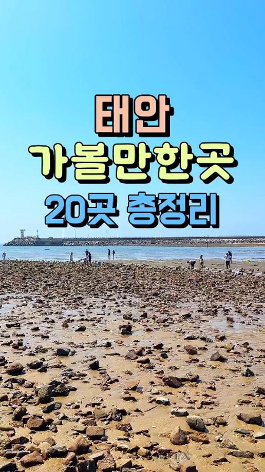‘2025 태안 방문의 해’ 숏폼 공모전 성료, 우수작 26편 선정