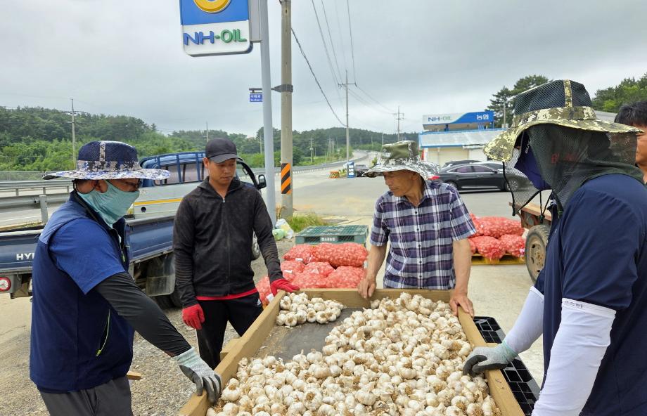 “출범 5달 만에 매출 40억” 태안 조합공동법인, 유통 판도 바꾼다!