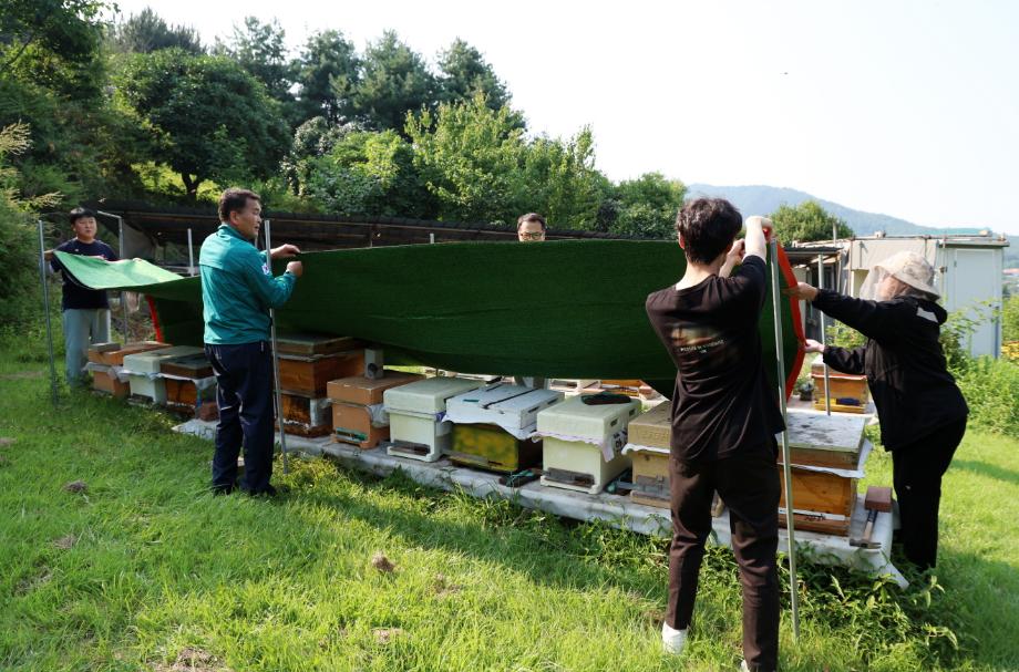 태안군, “폭염피해 막는다!” 축산농가 203개소 현장점검 돌입
