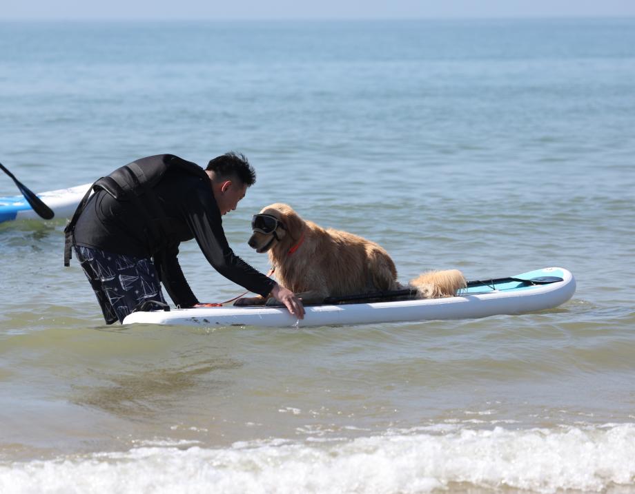 태안군, “만리포에서 댕댕이와 함께 서핑&힐링 즐기세요!”