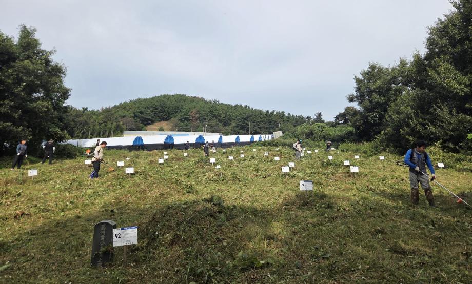 태안군 4-H연합회, 추석맞이 무연분묘 벌초 봉사