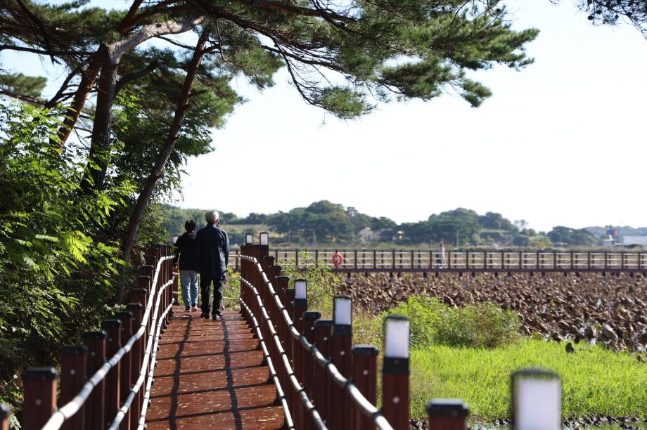 “안면도의 새로운 휴식공간” 태안군, 승언2호 저수지 수변공원 준공!