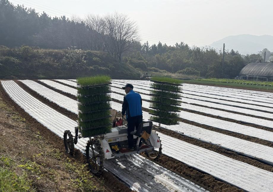태안군농업기술센터, 양파 재배 ‘전(全) 과정 기계화’ 박차