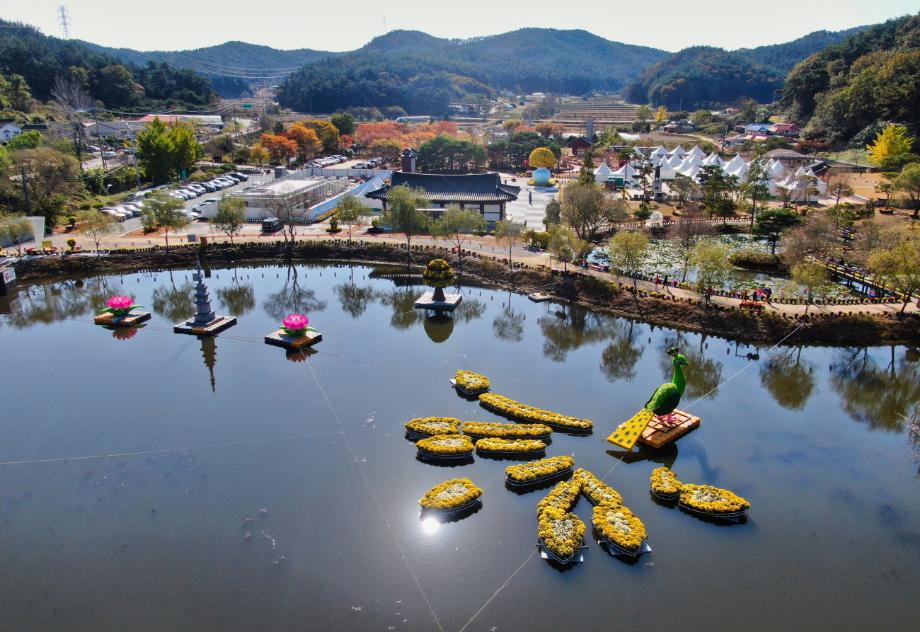 “5만 3천 명 방문 성과!” 2025 태안 국화축제 폐막