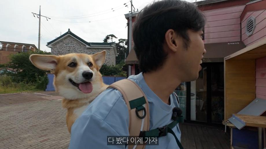 ‘태안군 반려동물 동반여행 콘텐츠 공모전’ 마무리, 우수작 18편 선정