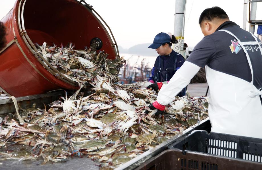 “어가 부담 확 낮춘다” 태안군, 2026~2027 수산보조사업 통합 신청