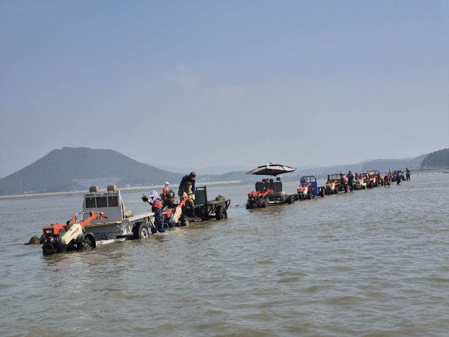 태안군, ‘지속 가능한 바다’ 위해 자율관리어업 육성 박차