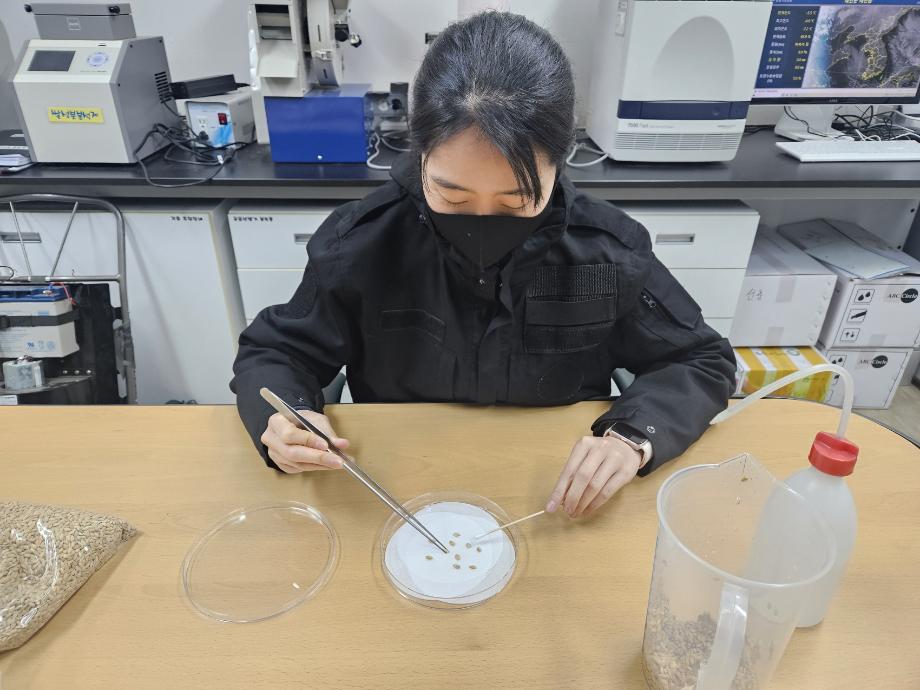 태안군농업기술센터, 농업인 대상 ‘벼 종자 발아율 검사’ 지원