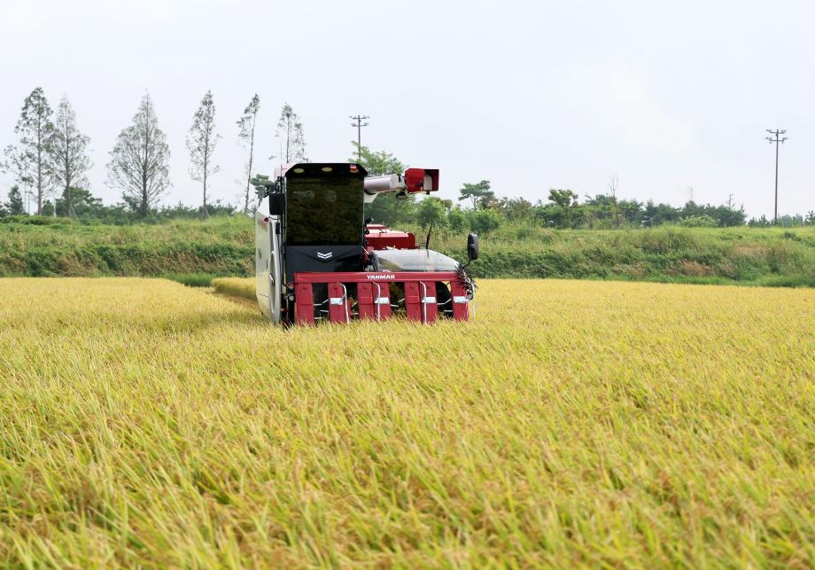 태안군, 식량산업 5개년 종합계획 농식품부 최종 승인