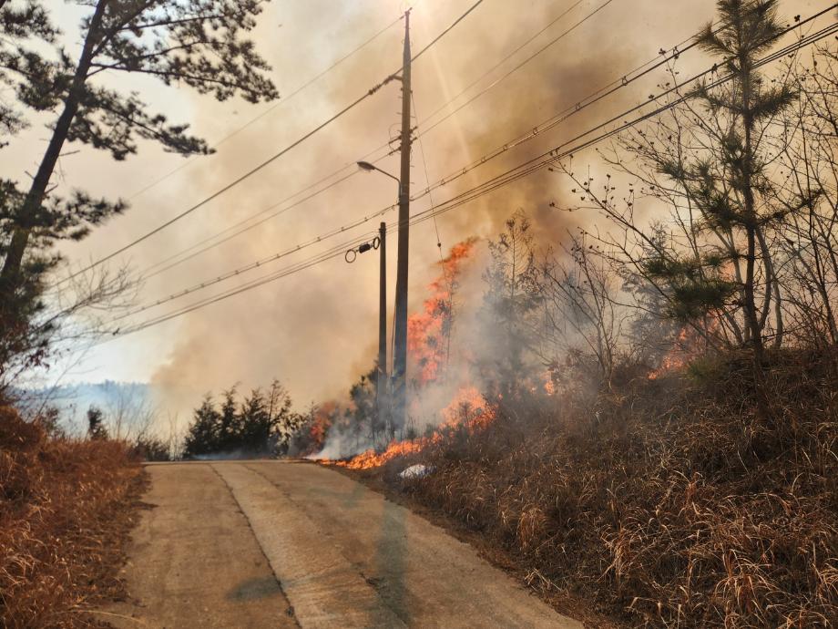 태안군, “산불 사각지대 제로” 푸른 숲 지키기 총력