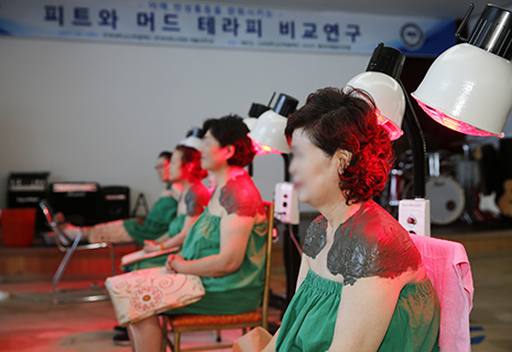 피트 활용의 예시 사진