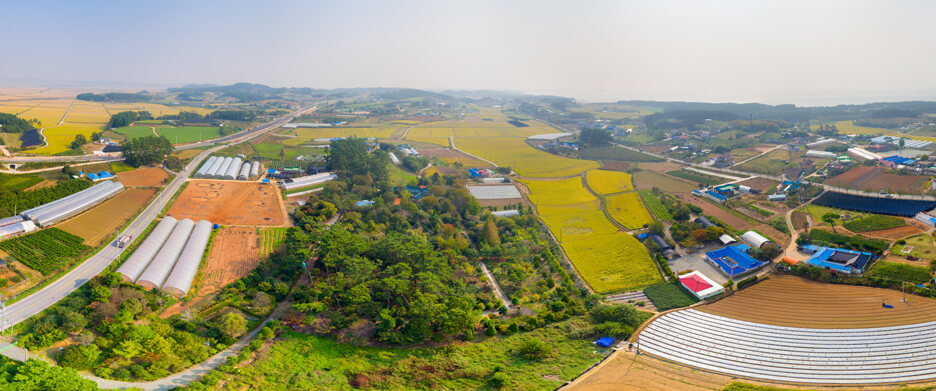 남면