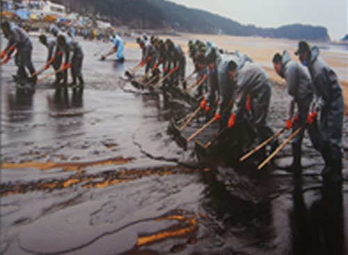 태안 기름유출 복구현장