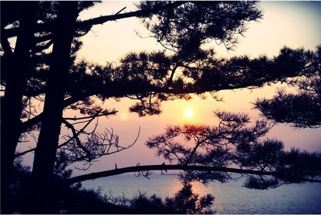 자드락펜션이미지6