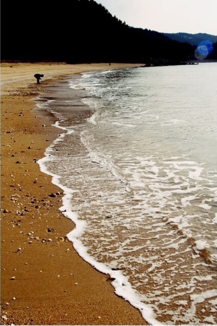 자드락펜션이미지7