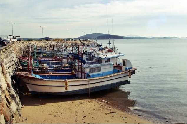 어촌계횟집이미지17