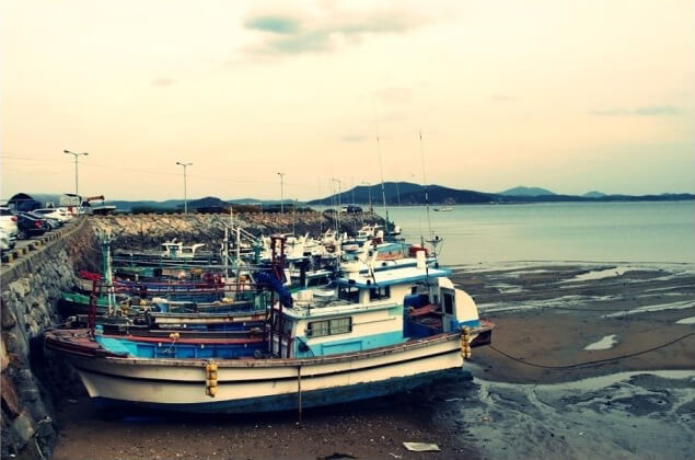 어촌계횟집이미지4