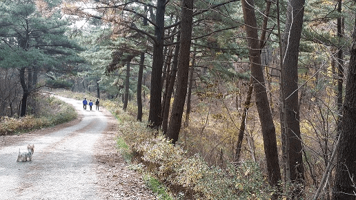 기자단발대식이미지20