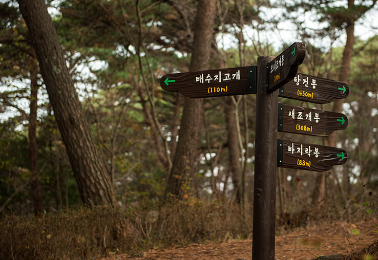 안면도자연휴양림이미지12