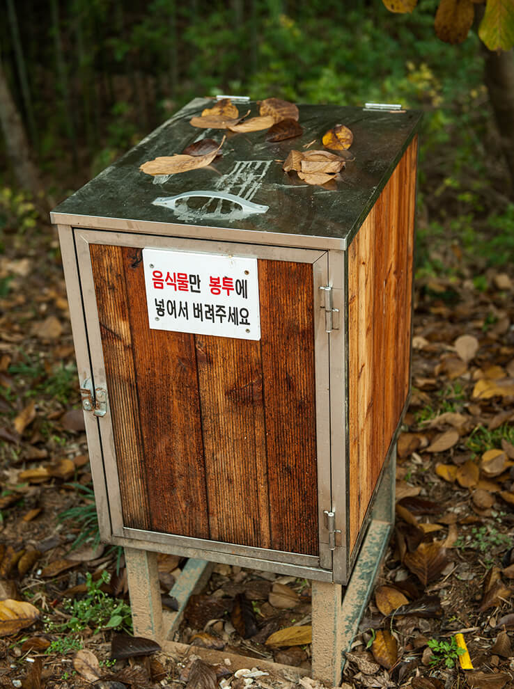 안면도자연휴양림이미지21