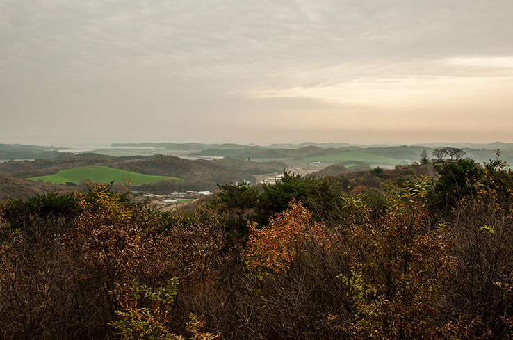 안면도자연휴양림이미지28