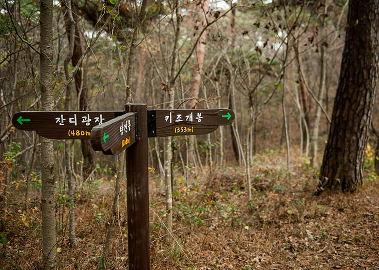 안면도자연휴양림이미지30