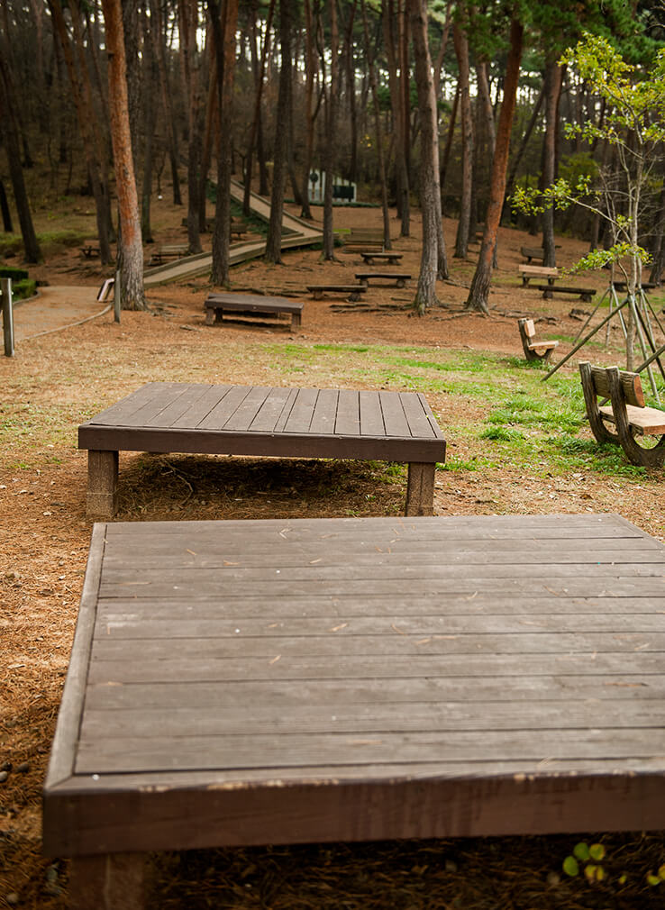 안면도자연휴양림이미지4