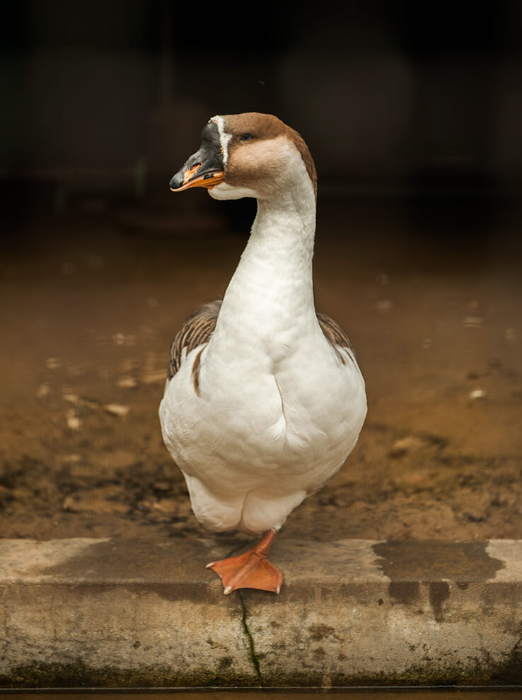 안면도자연휴양림이미지58