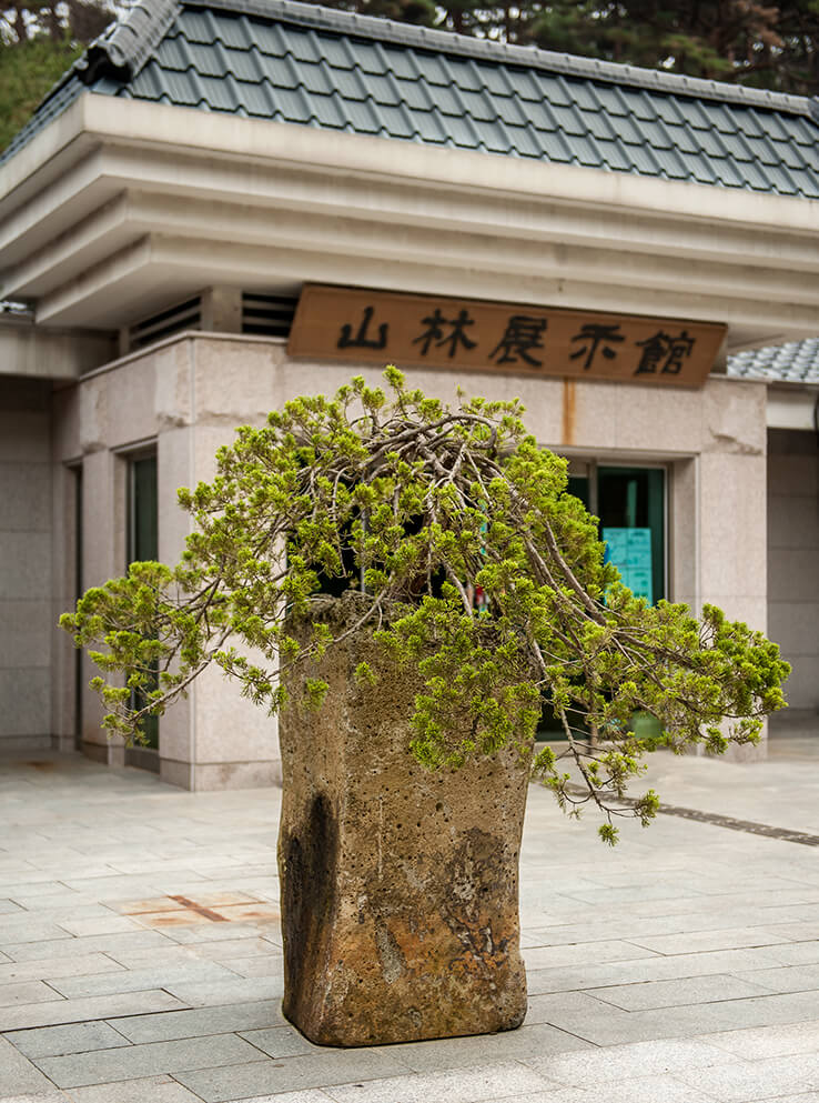 안면도자연휴양림이미지59