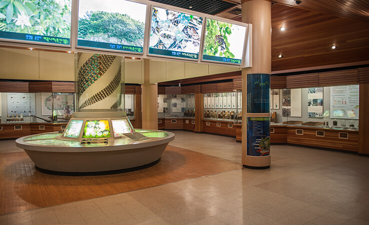 안면도자연휴양림이미지62