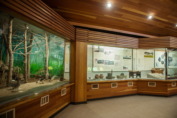 안면도자연휴양림이미지63