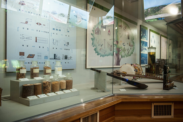 안면도자연휴양림이미지66