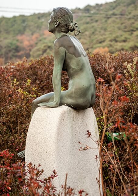 안면도자연휴양림이미지14