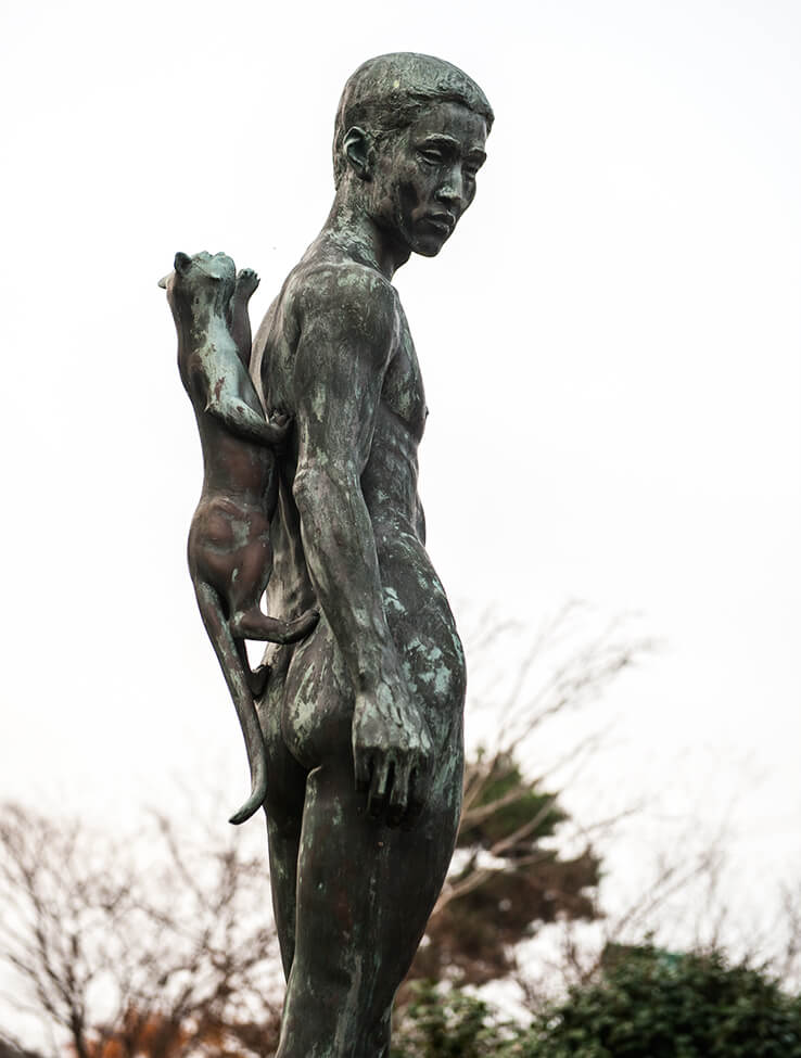 안면도자연휴양림이미지17