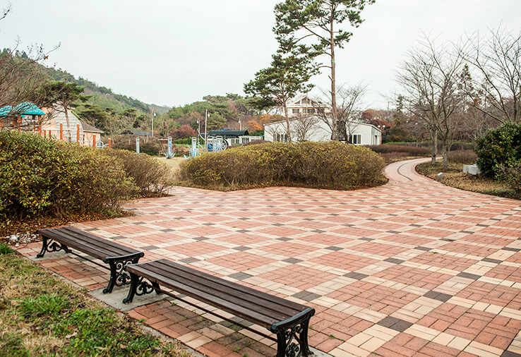 안면도자연휴양림이미지31