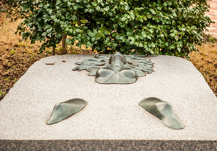 안면도자연휴양림이미지33