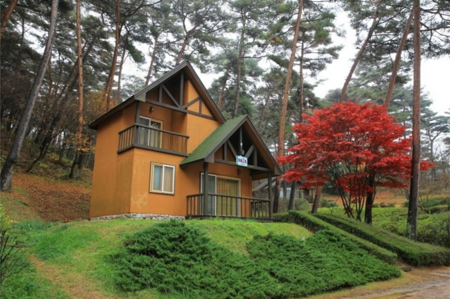 안면도자연휴양림이미지1